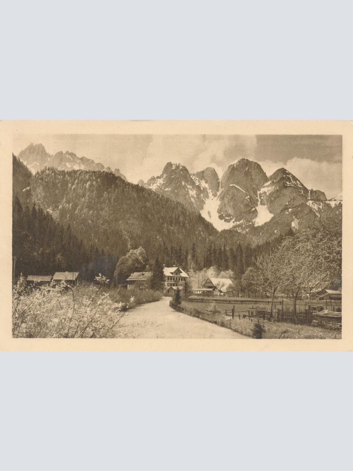 AK aus Gosau mit Donnerkogel Oberösterreich Ansichtskarte (9562)