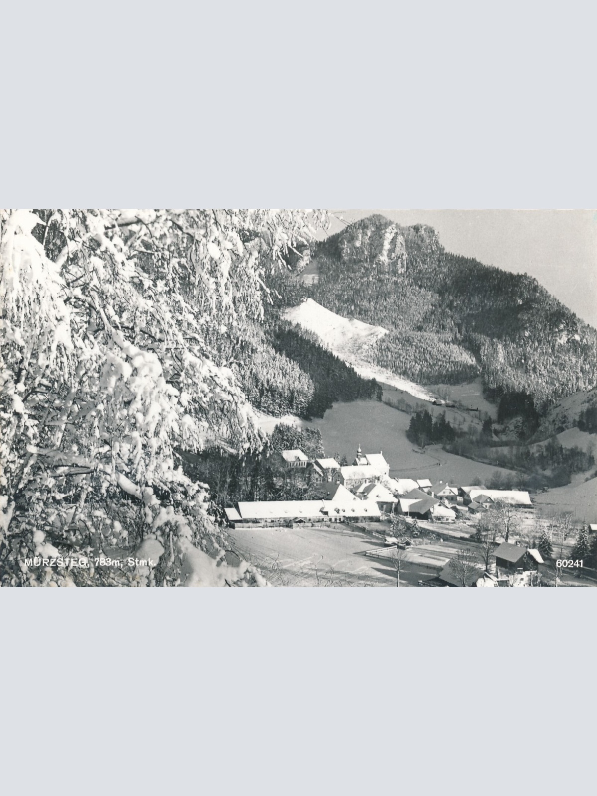 AK aus Mürzsteg Winterkarte Steiermark Ansichtskarte (9604)