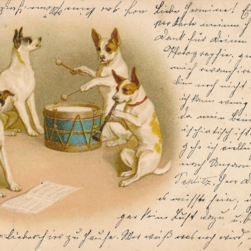 Motiv - Karte Hunde Musik Gruppe Talentierte Hunde machen Musik (10213)