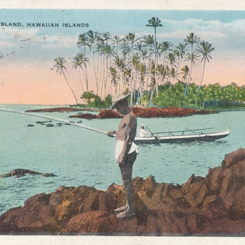 AK aus Hawai Cocoanut Island Amerika USA (8957)