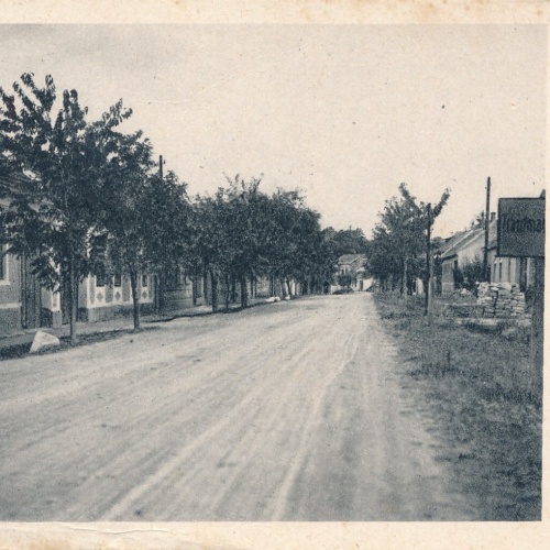 AK aus Trautmansdorf Niederösterreich Straßenansicht (J76)