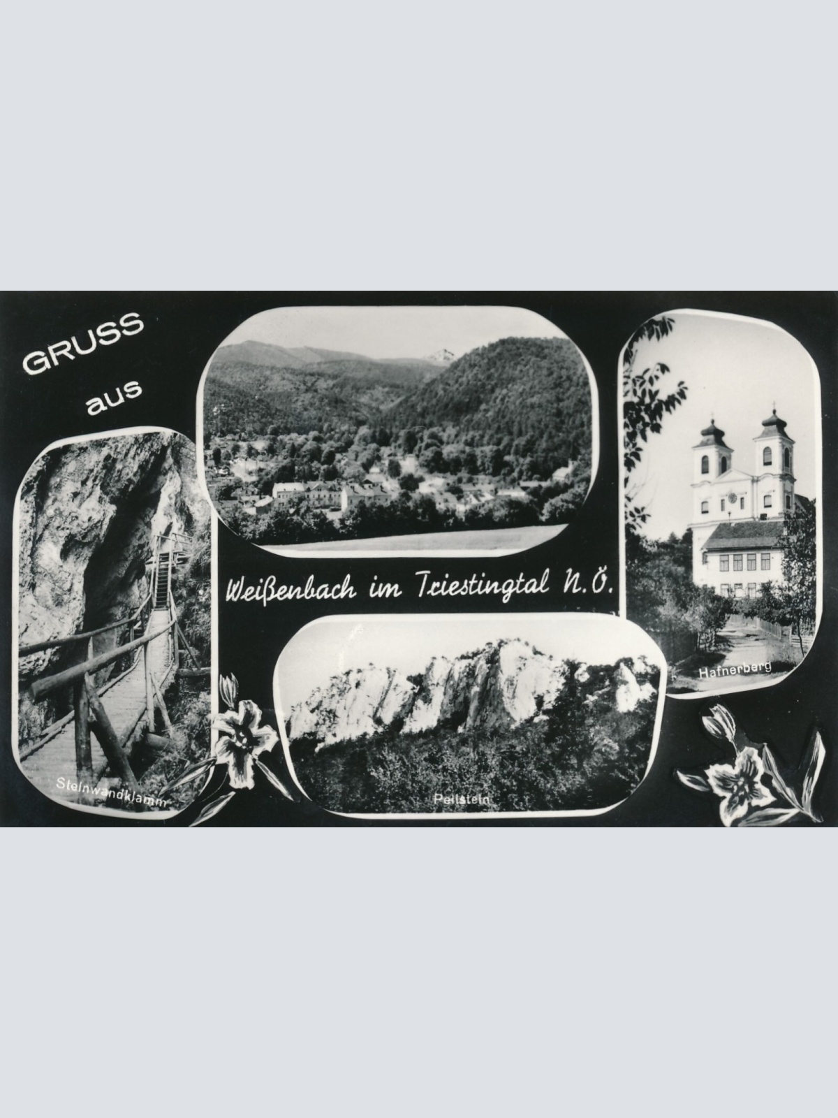 AK aus Weißenbach Triestingtal Niederösterreich Ansichtskarte (10331)