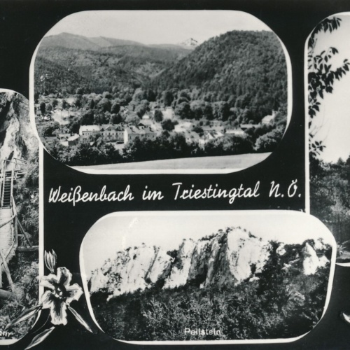 AK aus Weißenbach Triestingtal Niederösterreich Ansichtskarte (10331)