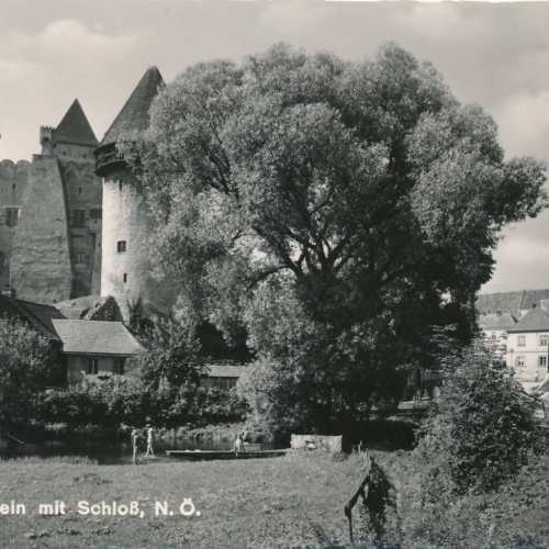 AK aus Heidenreichstein mit Schloß Niederösterreich Ansichtskarte (10332)