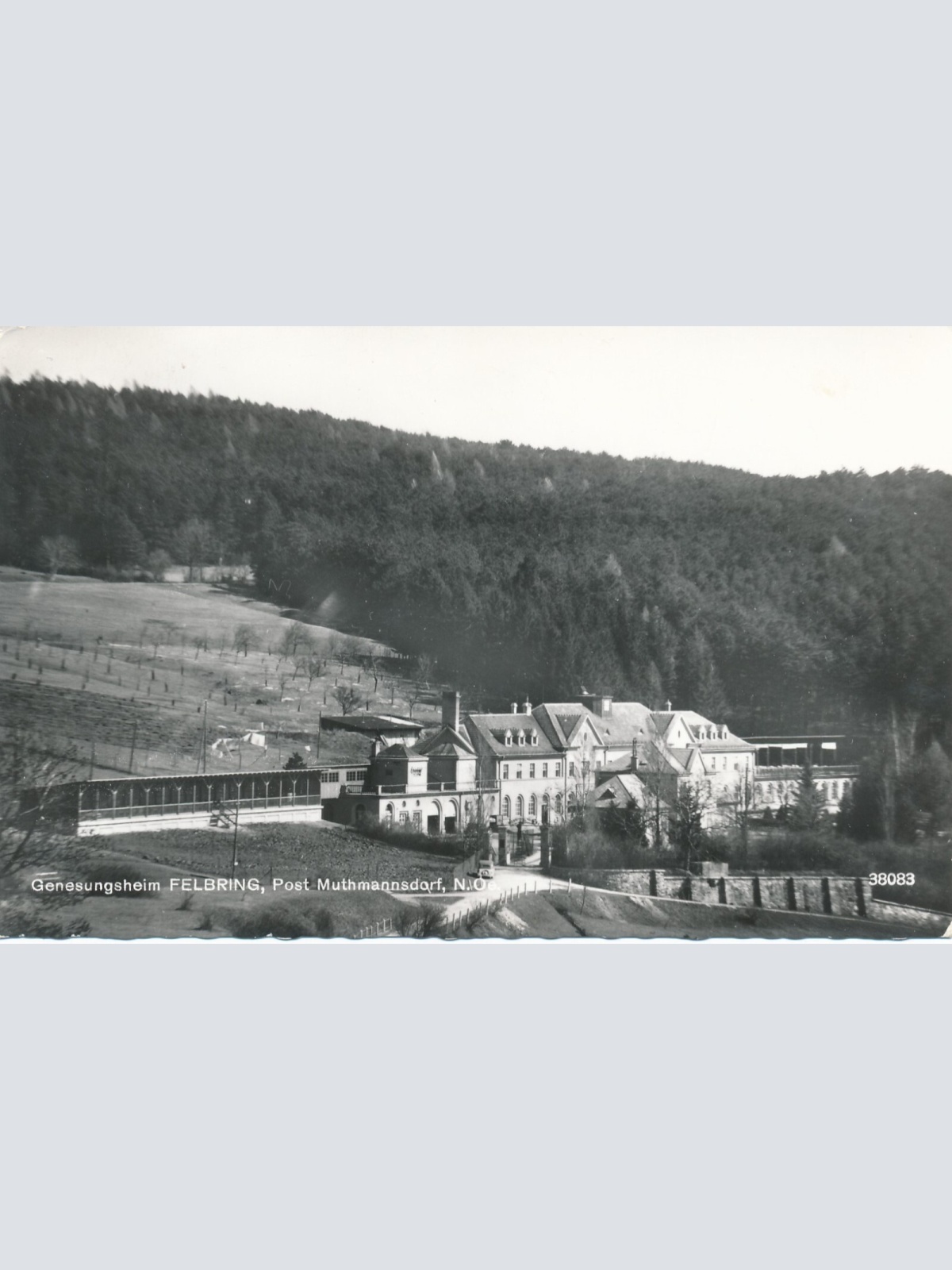 AK aus Feldbring Niederösterreich Ansichtskarte (10321)