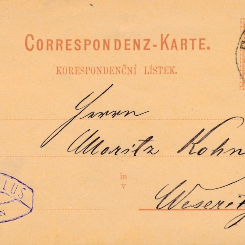 2 Kreuzer - Ganzsachen - Karte 1881 aus Pilsen (10081)