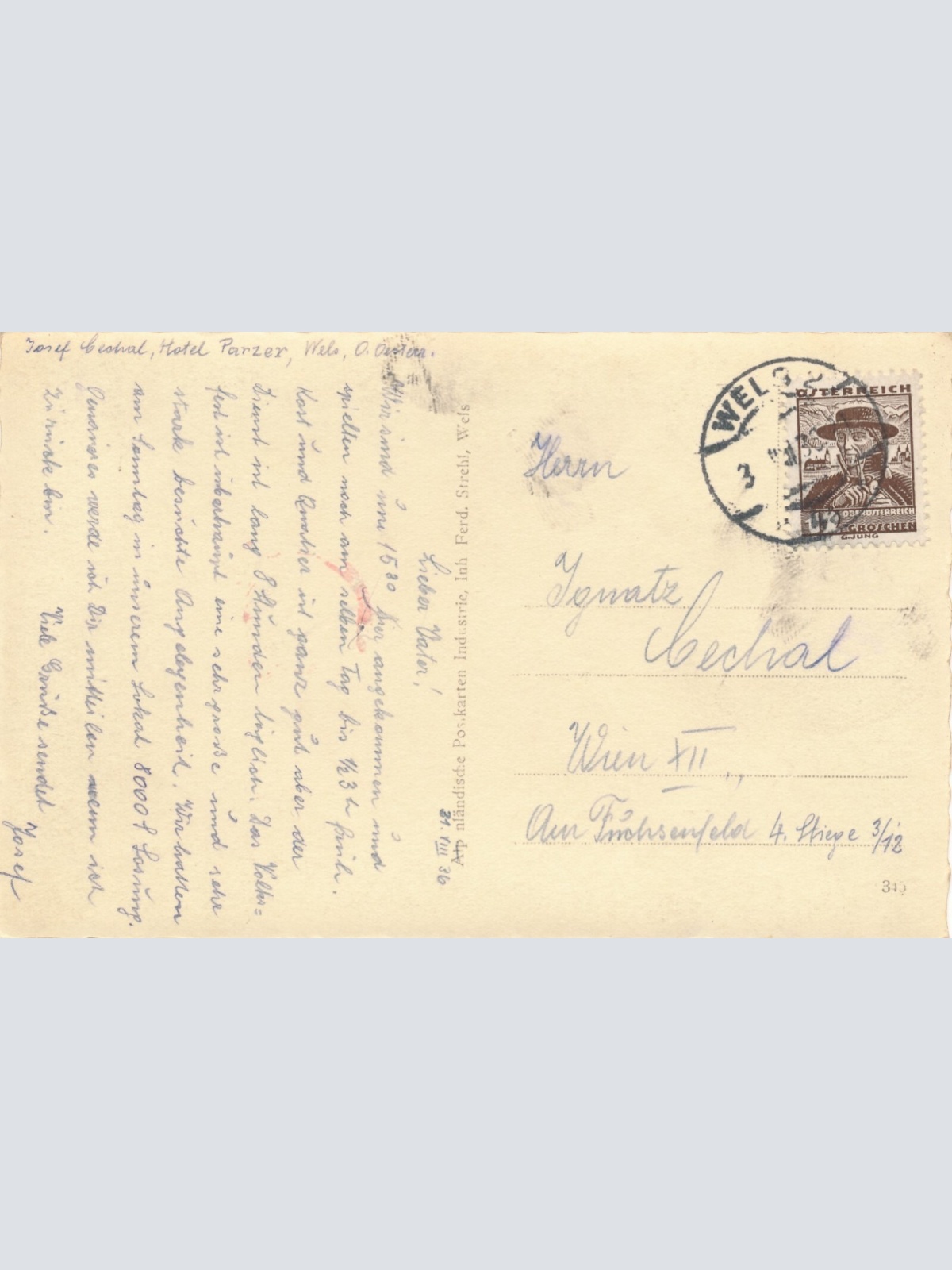 AK aus Wels Oberösterreich Ansichtskarte (10620)