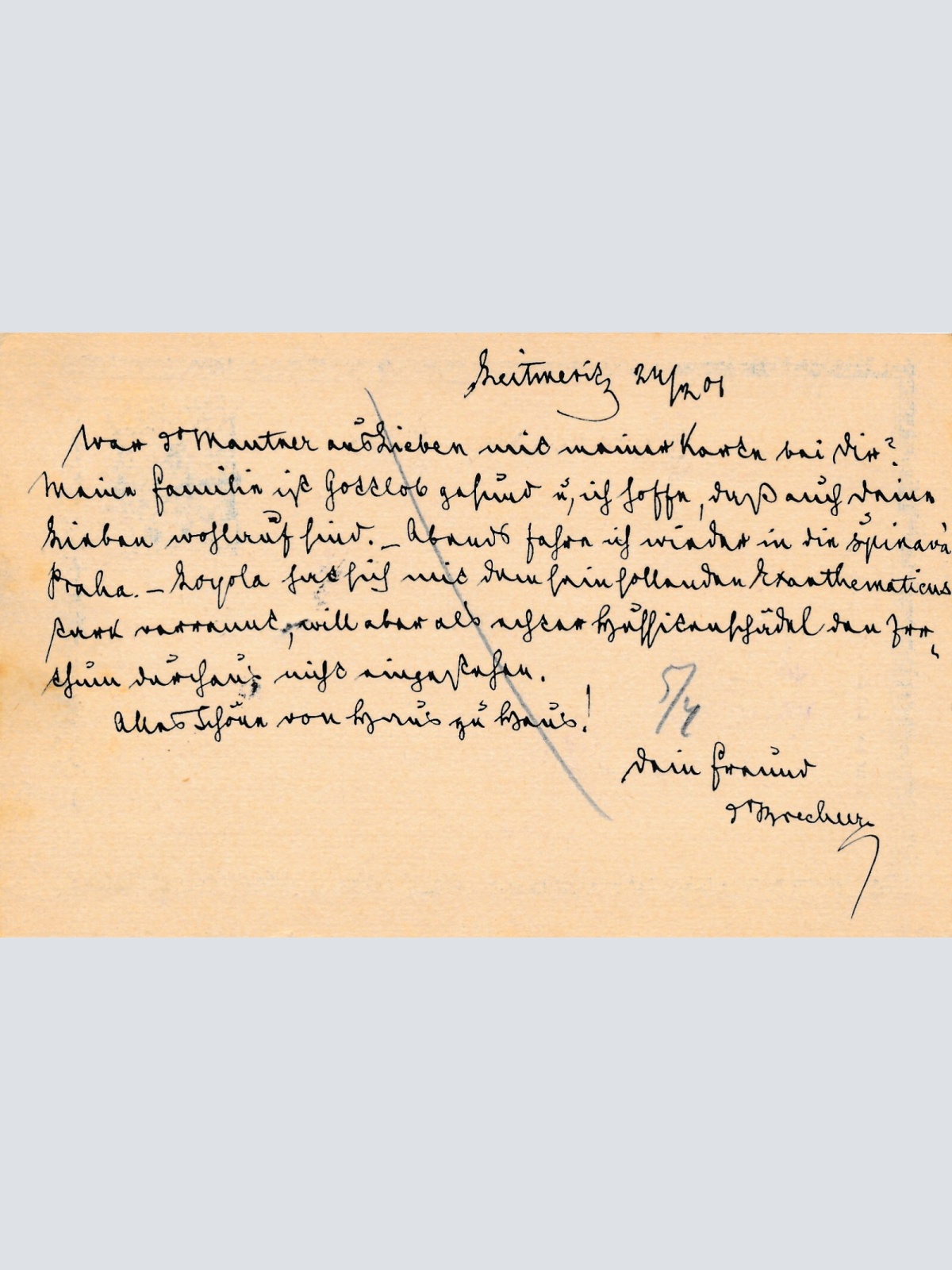 5 Heller - Ganzsachen - Karte 1901 aus Leitmeritz (10650)