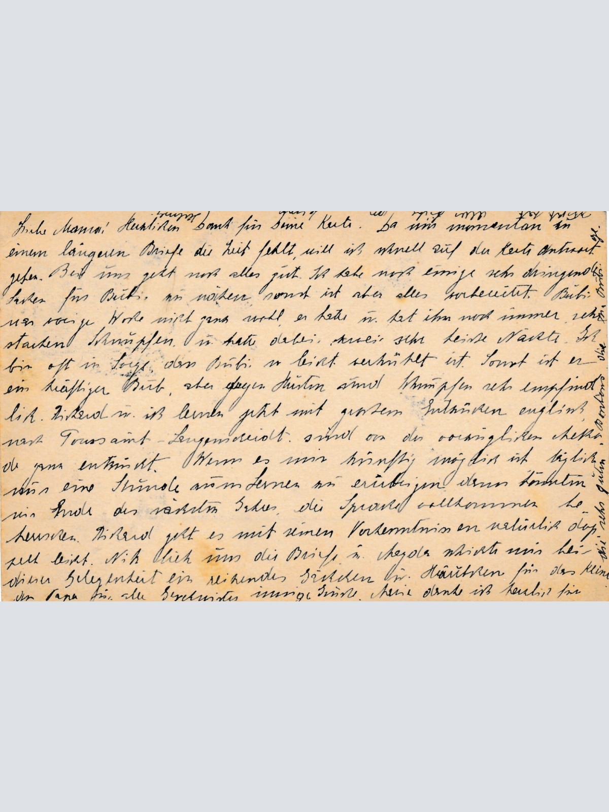 5 Heller - Ganzsachen - Karte 1904 aus Friedek  (10655)