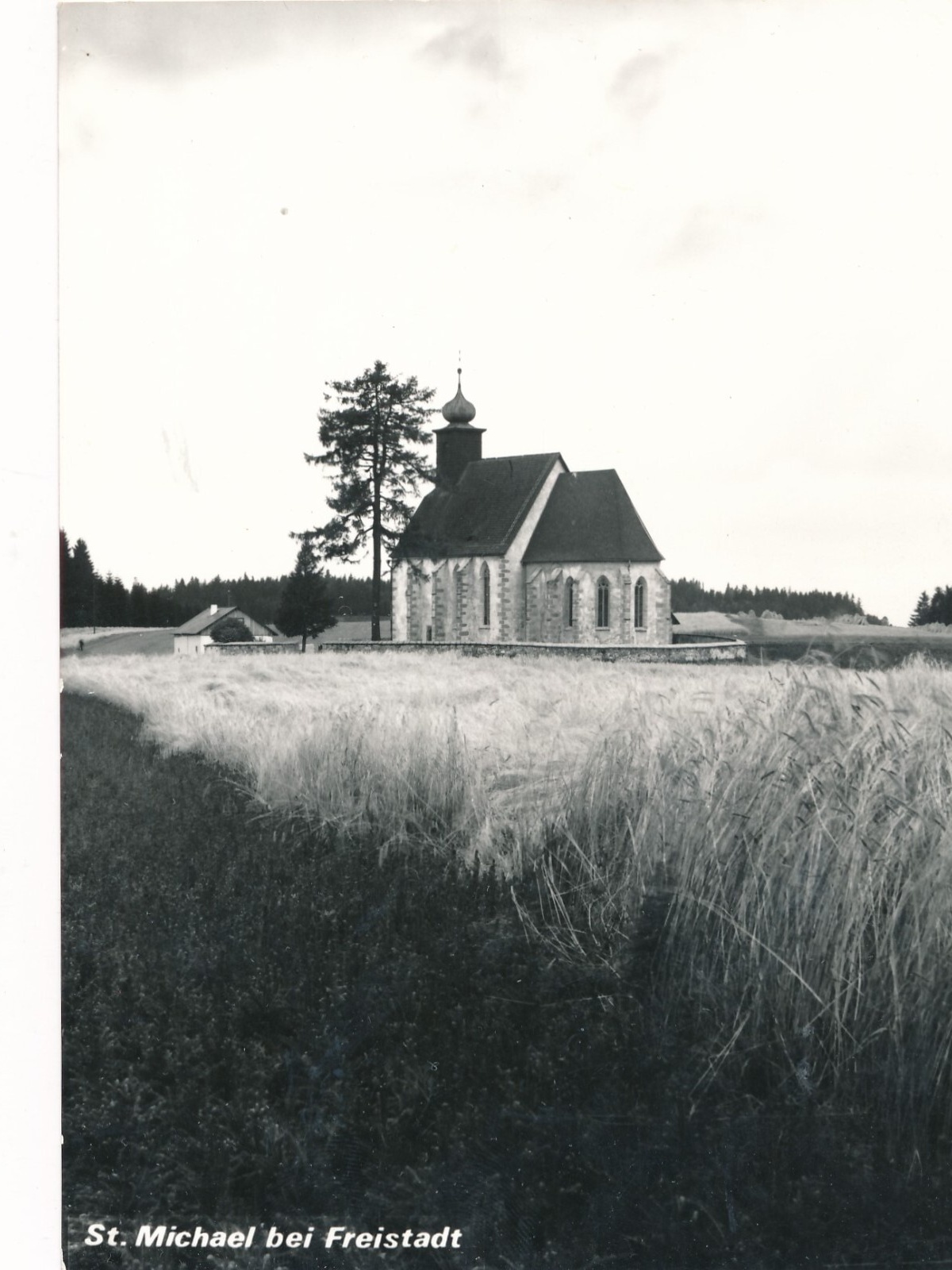 AK aus St. Michael b. Freistadt Oberösterreich (J147)