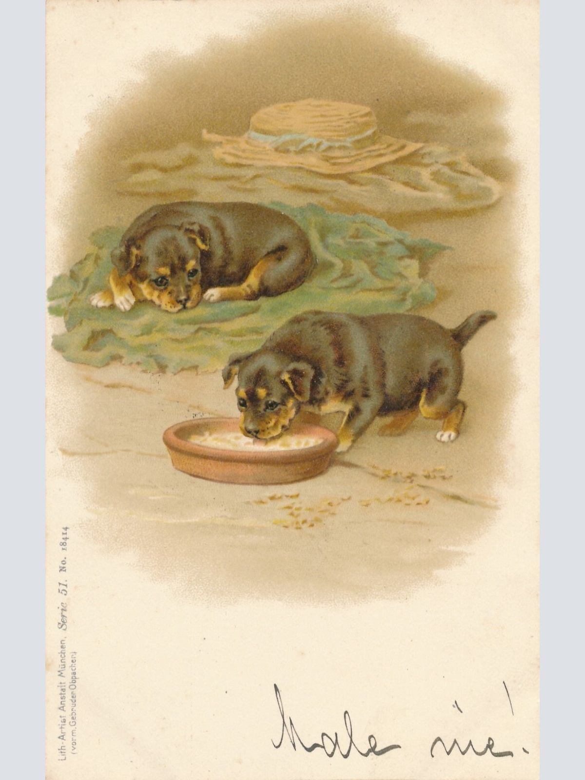 Motiv - Karte von zwei Welpen Ansichtskarte (10361)