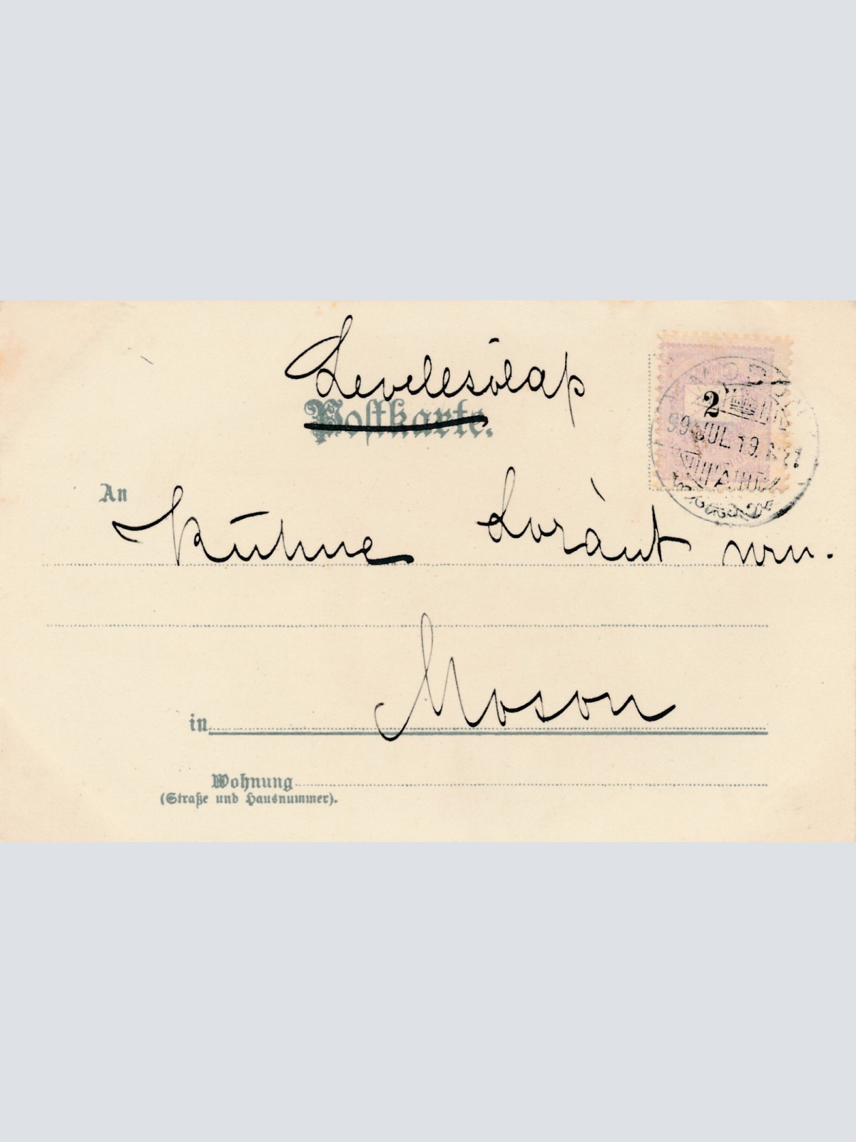 Motiv - Karte von zwei Welpen Ansichtskarte (10361)