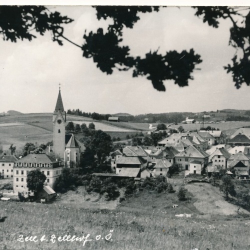 AK aus Zell am Zellhof Oberösterreich (10481)