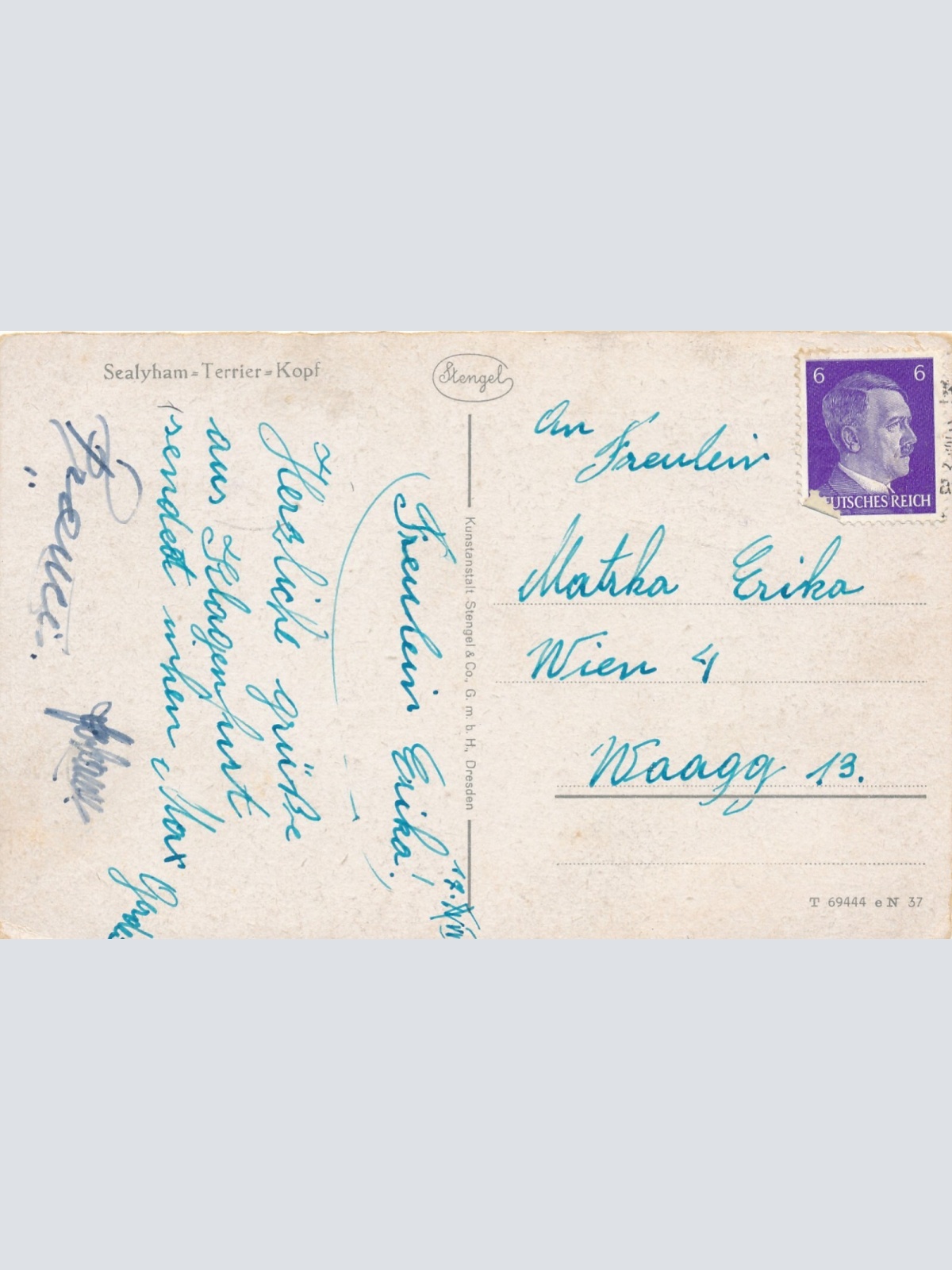 Motiv - Karte von einem Sealyham Terrier Hund Ansichtskarte (10383)