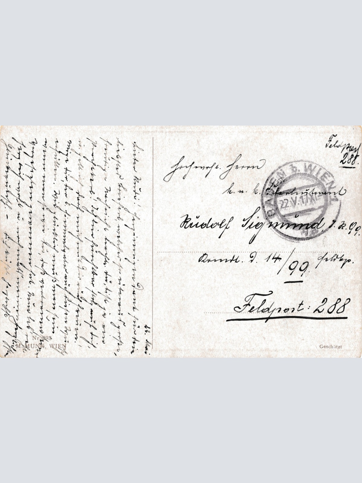 Motiv - Karte von neun Hunden Ansichtskarte (10364)