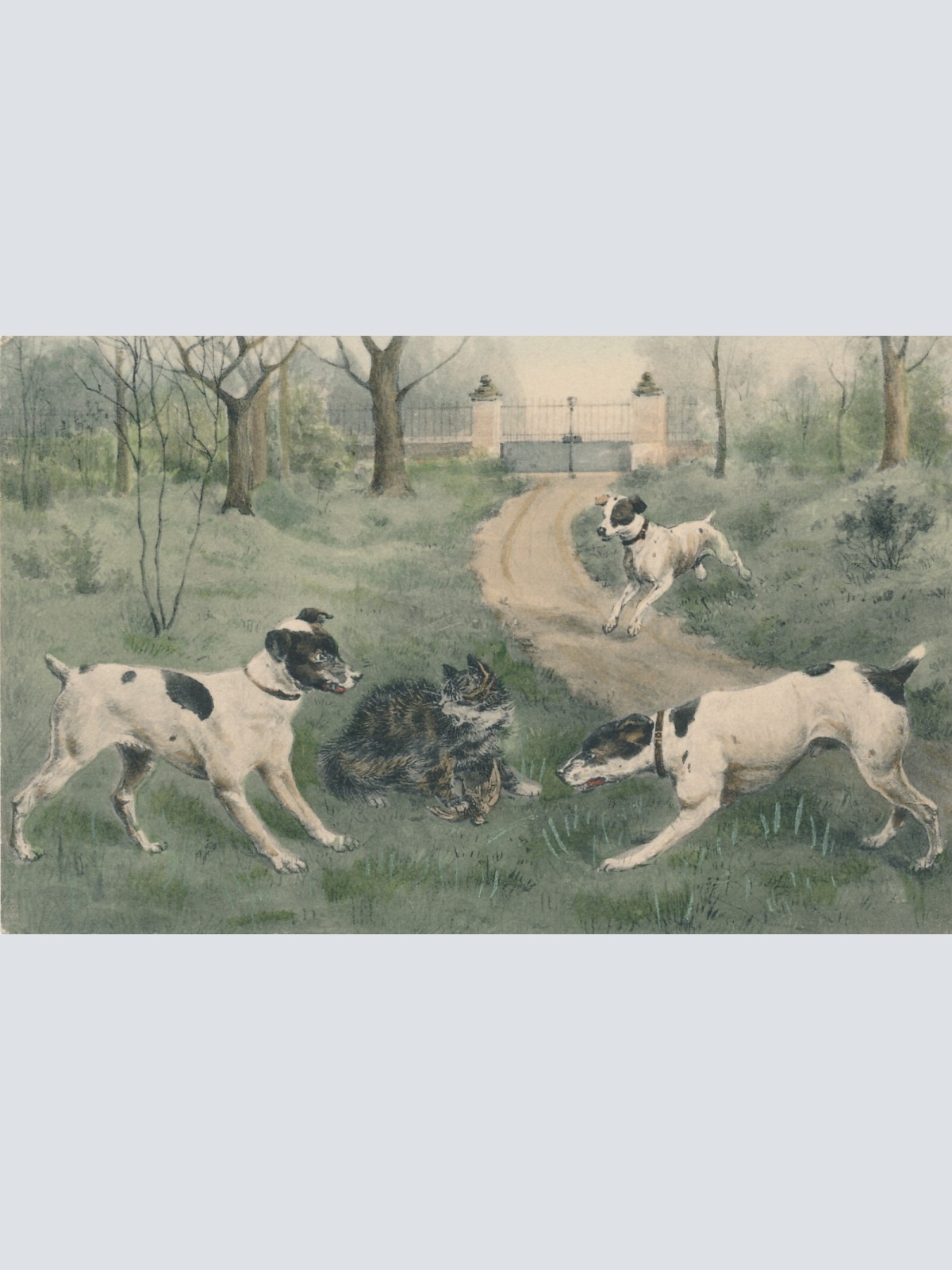 Motiv - Karte von drei Hunden mit Katze Ansichtskarte (10365)