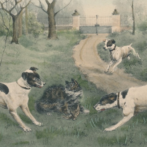 Motiv - Karte von drei Hunden mit Katze Ansichtskarte (10365)