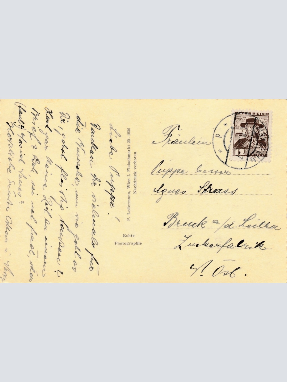 Motiv - Karte von einem Schäferhund mit Katze Ansichtskarte (10367)