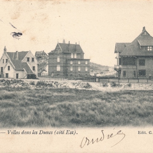AK aus La Panne Villas dans les Dunes Frankreich Ansichtskarte (11034)