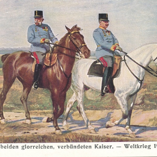 AK die beiden Glorreichen verbündeten WK 1914 Kaiser  Ansichtskarte (10848)