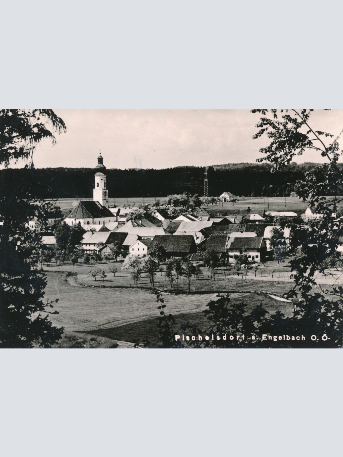 AK, Pischelsdorf am Engelbach, Oberösterreich (S2402)