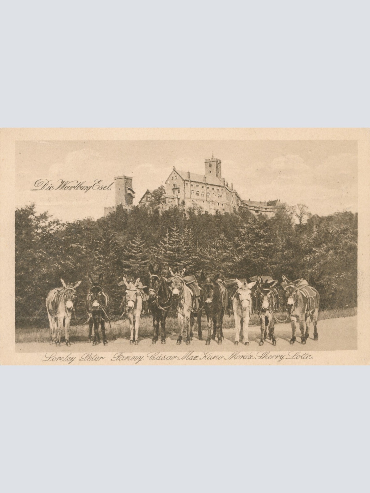 AK, Wartburg, Eisenach, Thüringen (S2611)