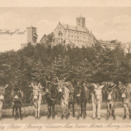 AK, Wartburg, Eisenach, Thüringen (S2611)