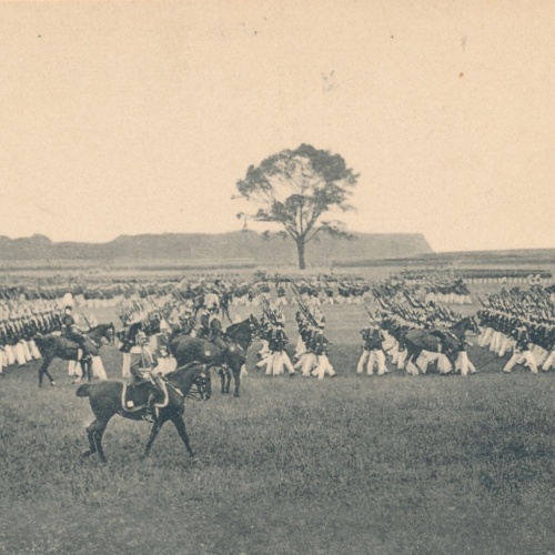 AK aus Berlin von der Parade mit Pferden Ansichtskarte (11352)