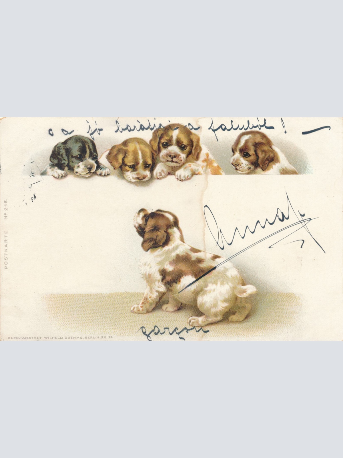 Motiv - Karte von kleinen Welpen (10353)