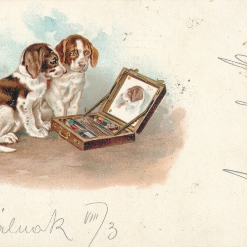 Motiv - Karte von zwei Hunden vor einem Spiegel Ansichtskarte (10355)