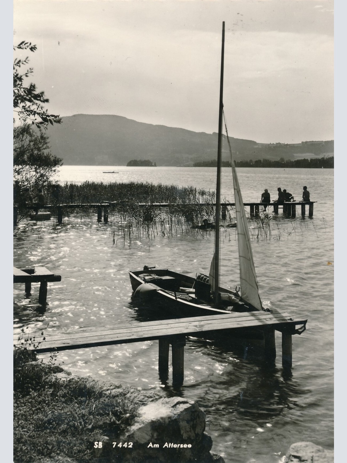 AK aus Attersee mit Boot Oberösterreich Ansichtskarte (11673)