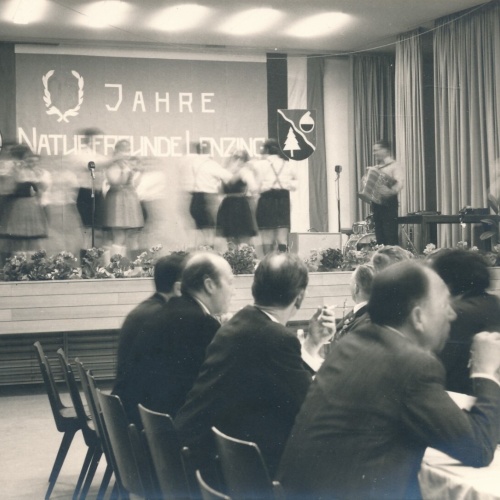 AK aus Lenzing Naturfeier Feier Oberösterreich Ansichtskarte (11683)