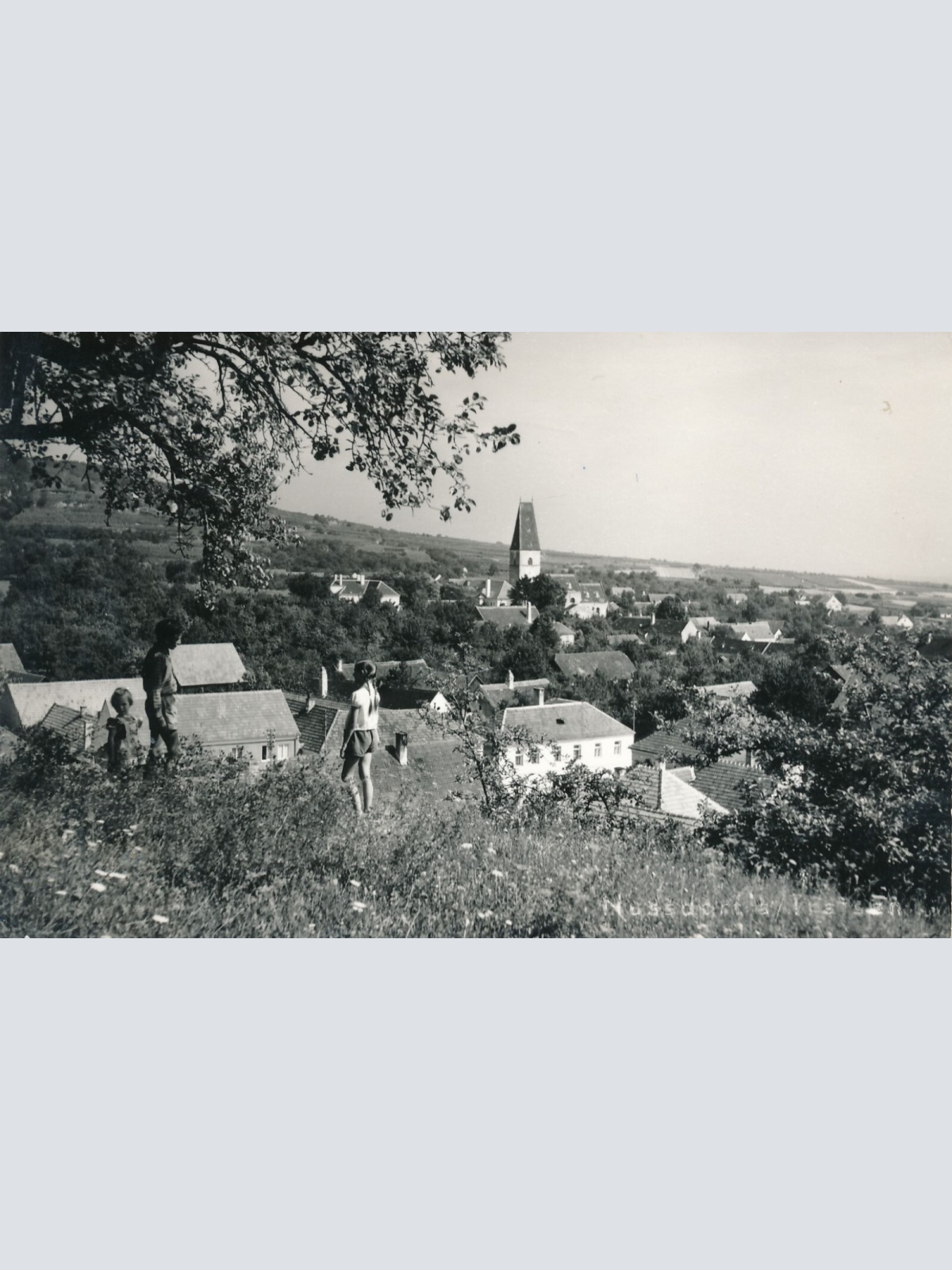 AK aus Nussdorf Niederösterreich Ansichtskarte (11626)