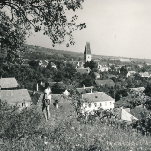 AK aus Nussdorf Niederösterreich Ansichtskarte (11626)