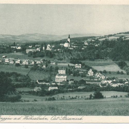 AK aus Friedberg Steiermark Ansichtskarte (12004)