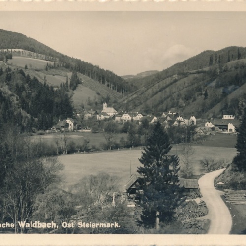 AK aus Waldbach Steiermark Ansichtskarte (11957)