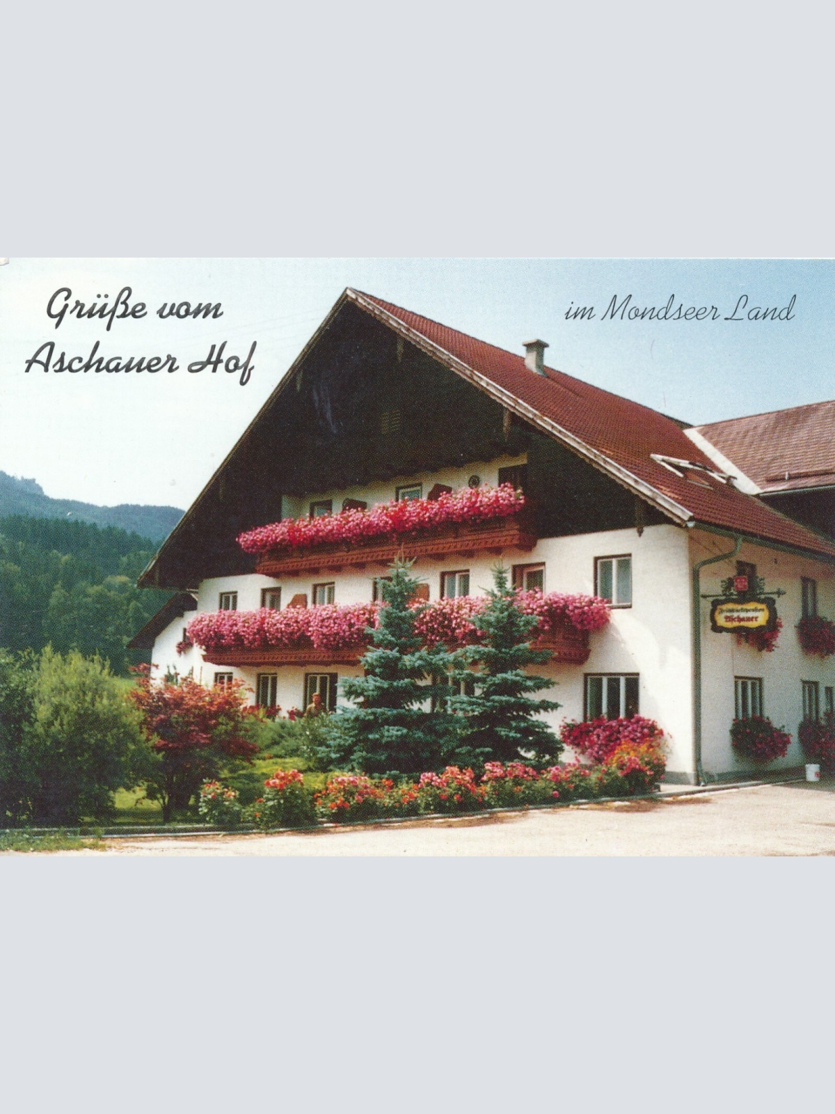 AK, Mondsee, Oberösterreich (S2824)