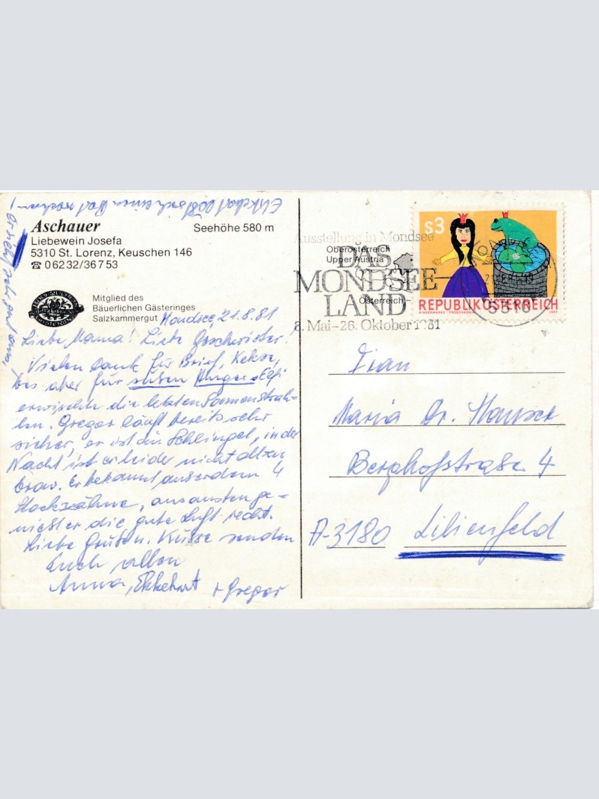 AK aus Mondsee Oberösterreich Ansichtskarte (J324)