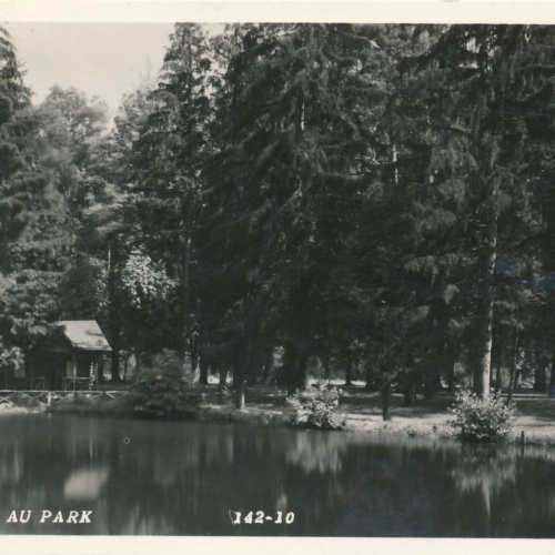 AK aus Pöllau au Park Steiermark Ansichtskarte (12629)