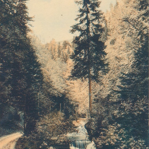 AK, Krampen, Steiermark (S3018)