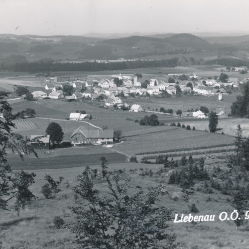 AK aus Liebenau Oberösterreich Ansichtskarte (12886)