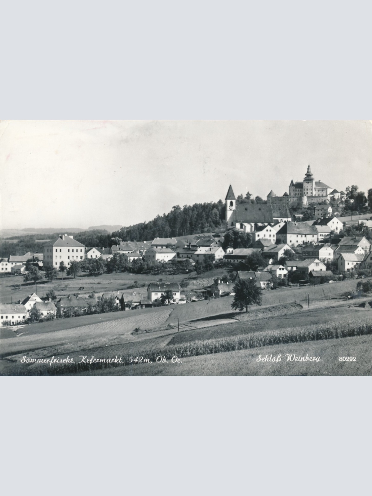 AK aus Kefermarkt Oberösterreich (12908)