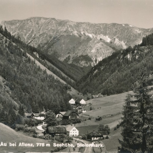 AK, Au bei Aflenz, Steiermark (S2963)