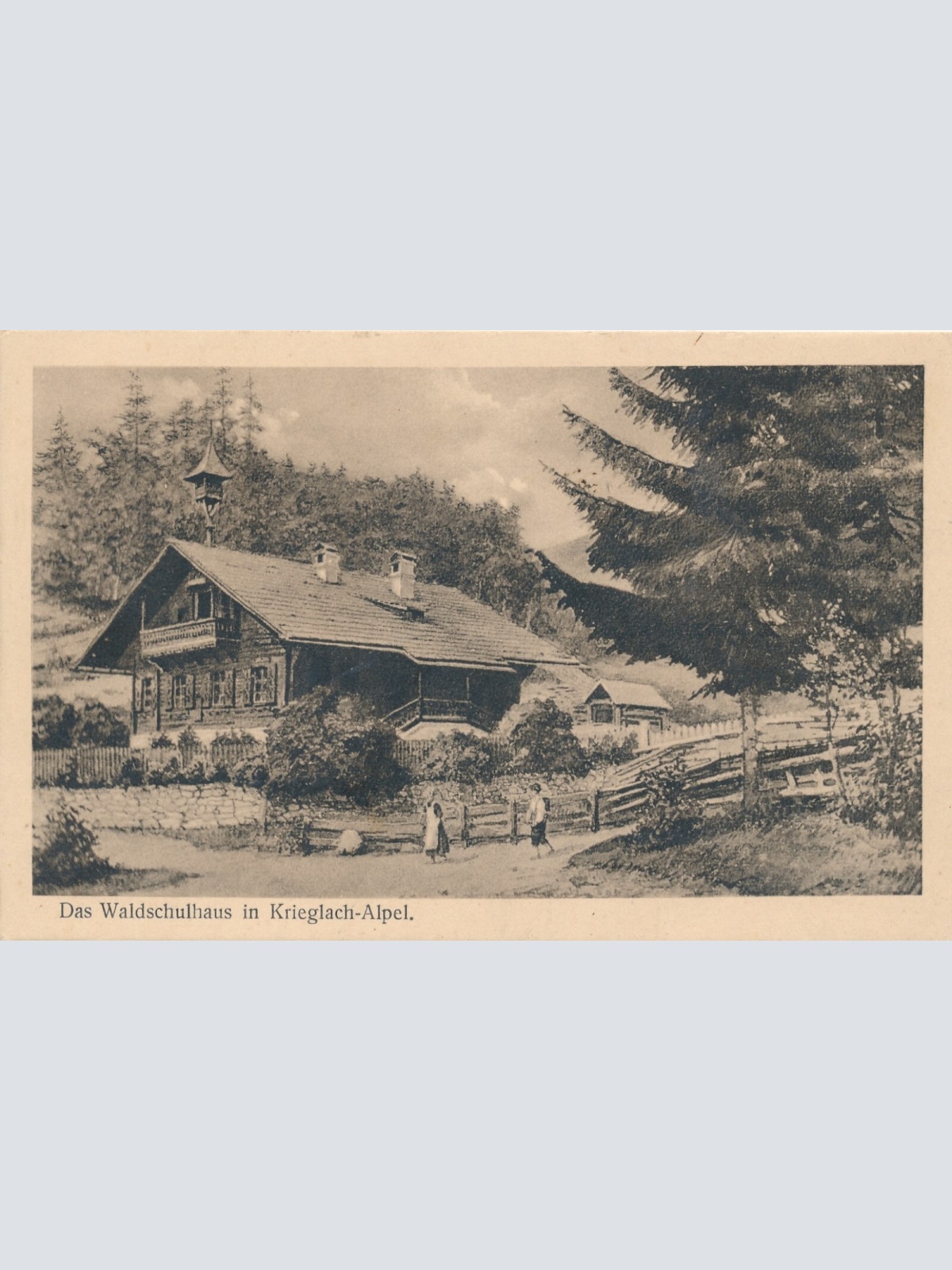 AK das Waldschulhaus in Krieglach Steiermark Ansichtskarte (13150)