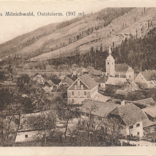 AK aus Mönichwald Steiermark Ansichtskarte (13151)