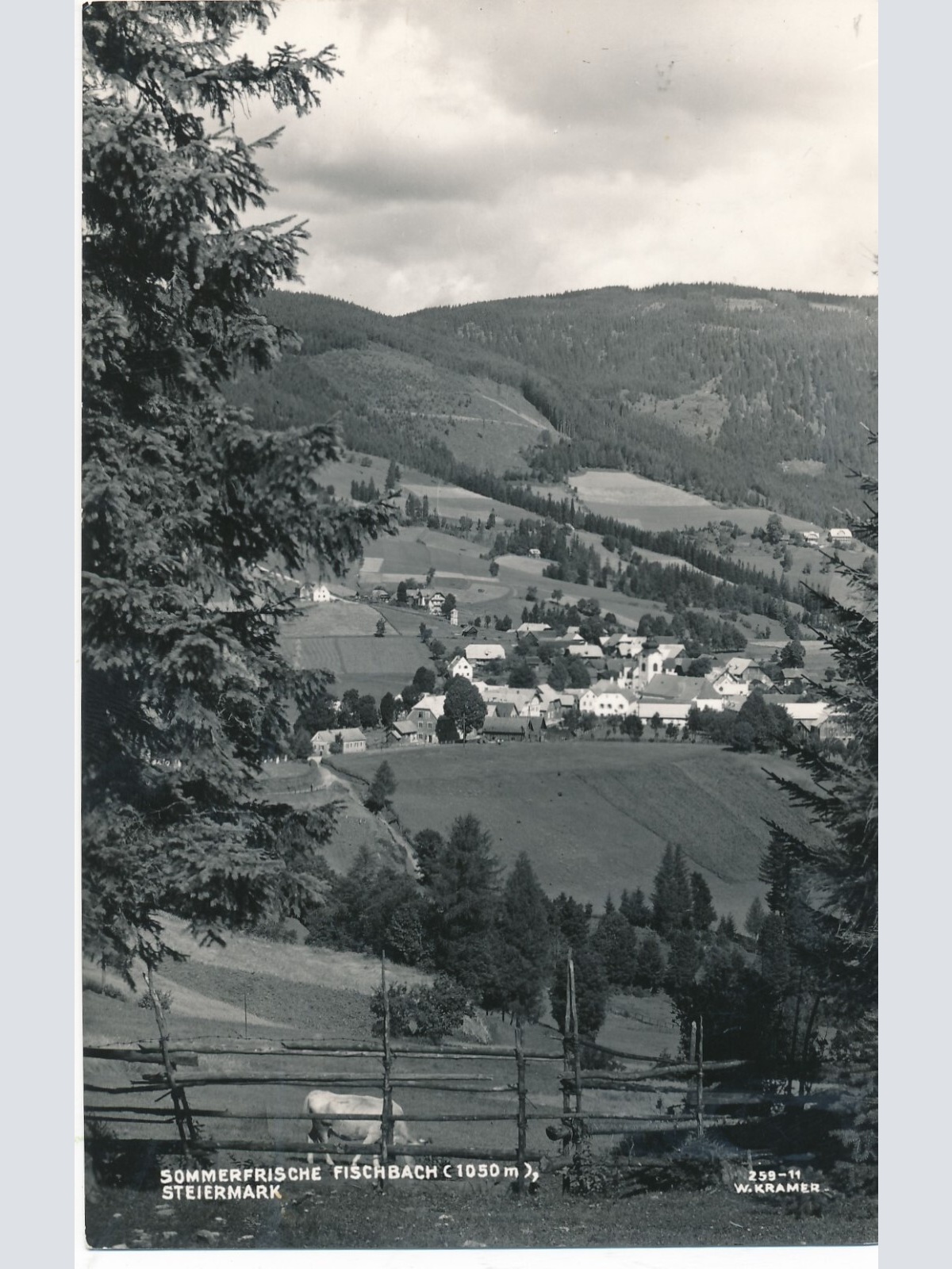 AK aus Fischbach Steiermark Ansichtskarte (13188)