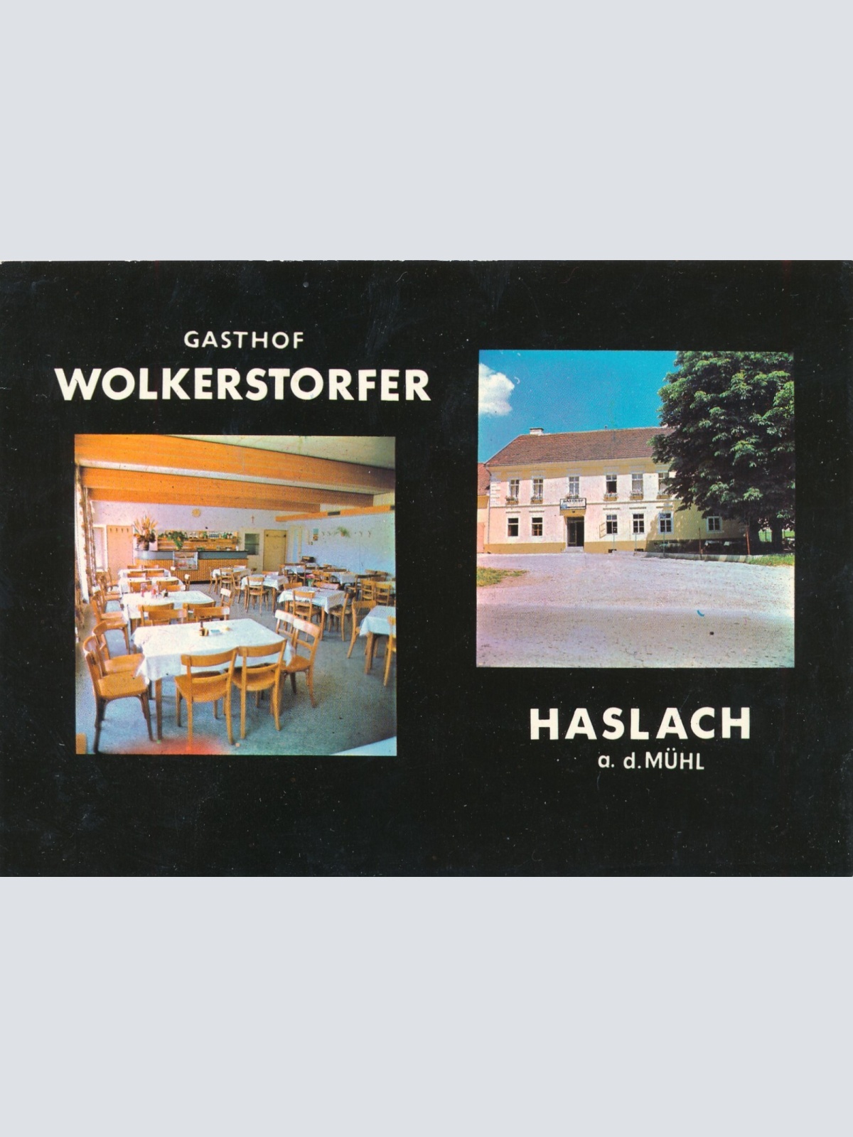 AK aus Haslach mit Gasthof Wolkerstorfer Mehrbildkarte Ansichtskarte (J387)