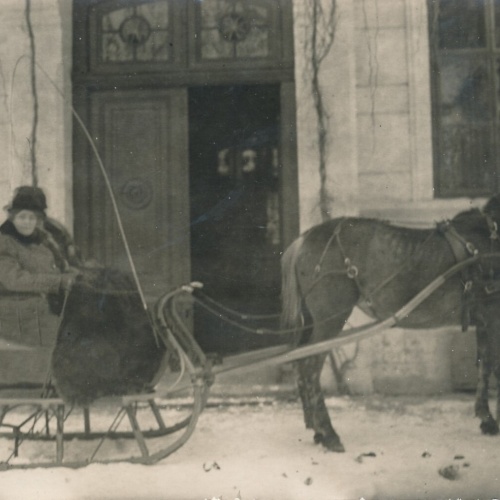 AK Annodazumals mit Pferdeschliten Ansichtskarte (13448)