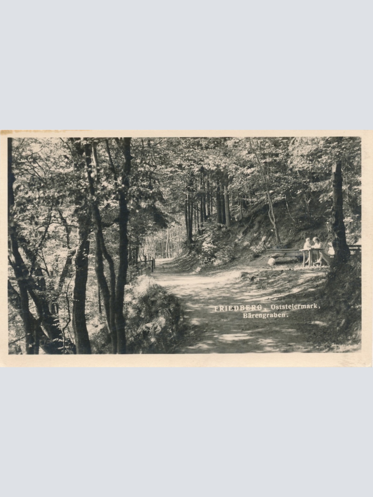 AK aus Friedberg Steiermark Ansichtskarte (13039)