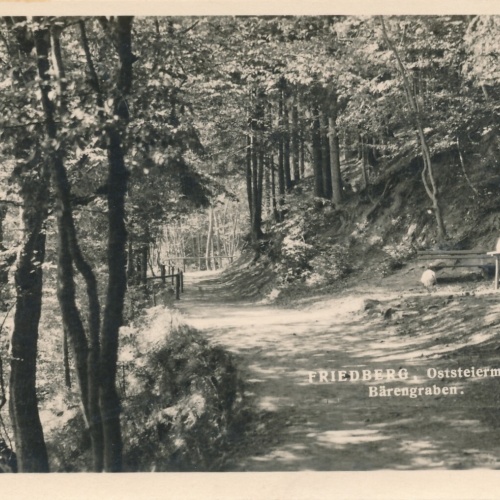 AK aus Friedberg Steiermark Ansichtskarte (13039)